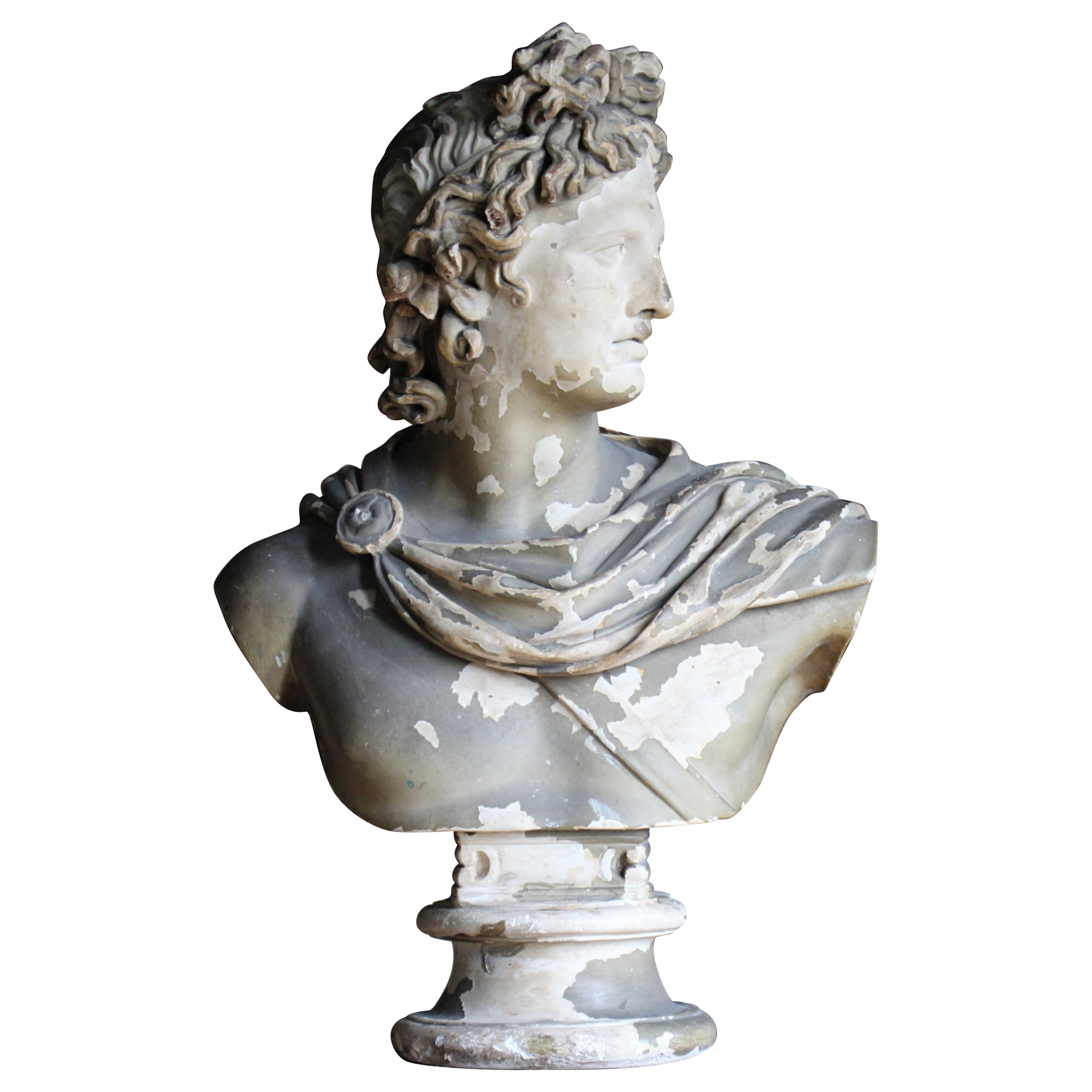Busto di Apollo in gesso classico del XIX secolo di Louis Brugiotti Londra Grand Tour