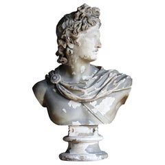 19th C Classical Plaster Bust Apollo by Louis Brugiotti London Grand Tour