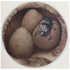 Impression originale d'un copris / scarabée espagnol par E.J Detmold. C.1920