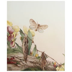 Impression originale d'un papillon psychédélique par E.J Detmold. C.1920