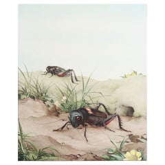 Impression originale d'un criquet de criquet sur terrain par E.J Detmold. C.1920