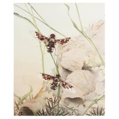 Impression originale d'une mouche bombyliidae par E.J Detmold. C.1920