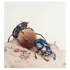 Impression vintage originale de scarabées par E.J Detmold. C.1920