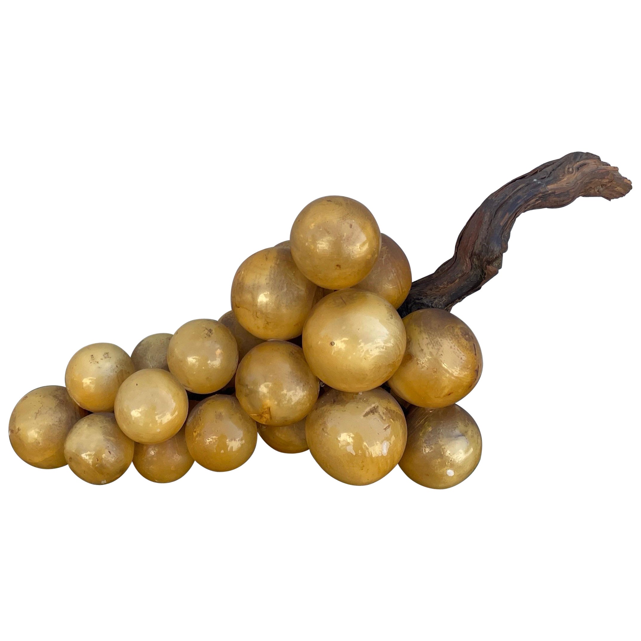 Monumental Bunch of Italian Yellow Stone Grapes on Wood Branch
