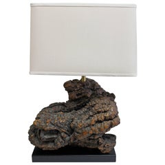 Burl Wood Lamp