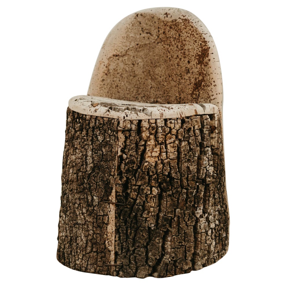 sedia eccentrica in sughero Oak ...
