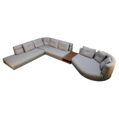 Minotti Sofa and Table