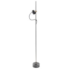 Angelo Lelli Floor Lamp for Arredoluce