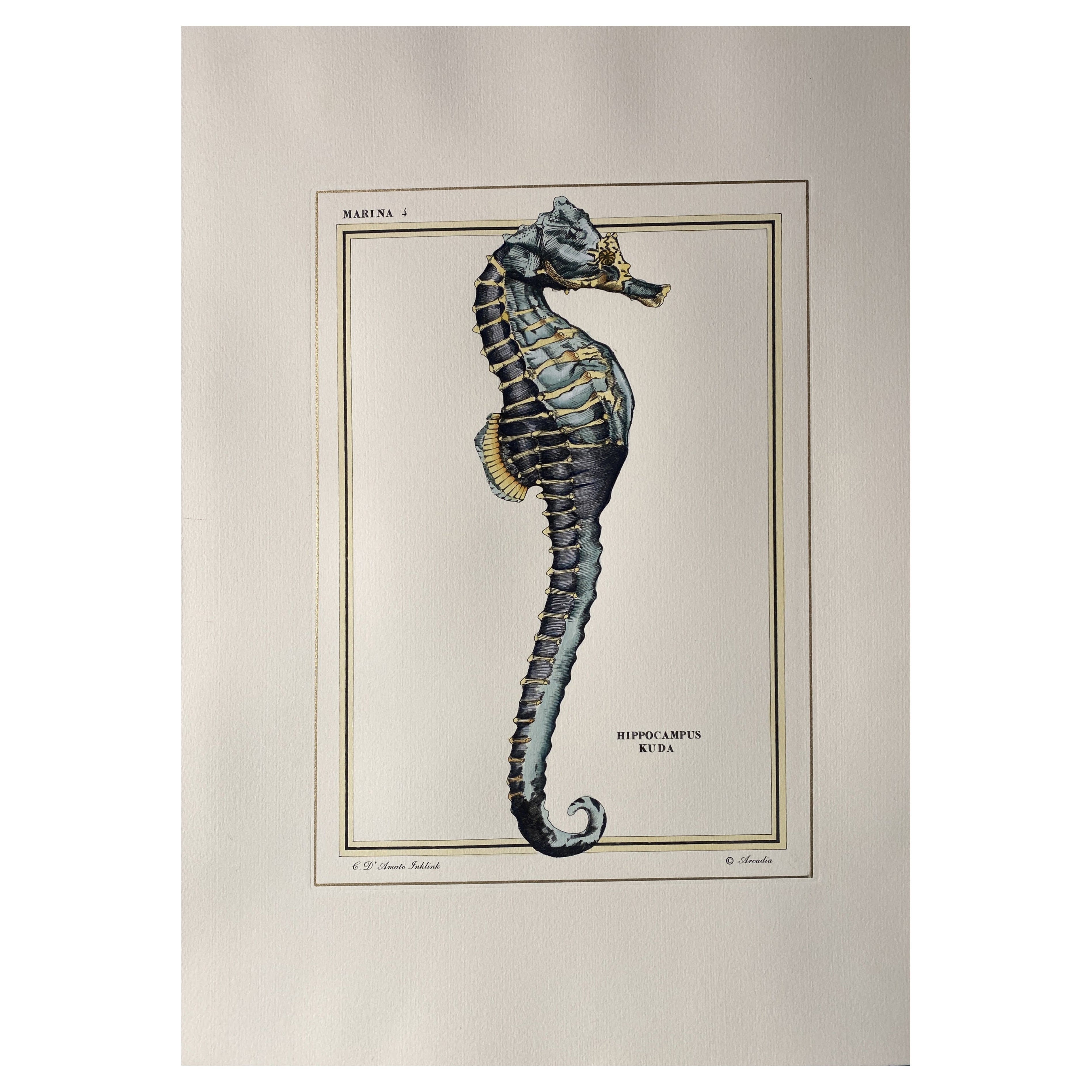Italian Contemporary Hand Painted Print Marina Gold "Hipp Kuda", 4 of 4 For Sale