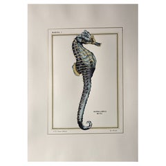 Italienische Contemporary Hand Painted Print Marina Gold "Hipp Kuda", 4 von 4
