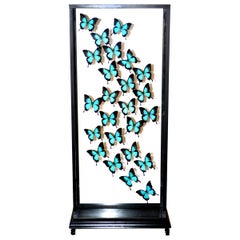 Butterflies Ulysses Flight Arranged under Square Framework