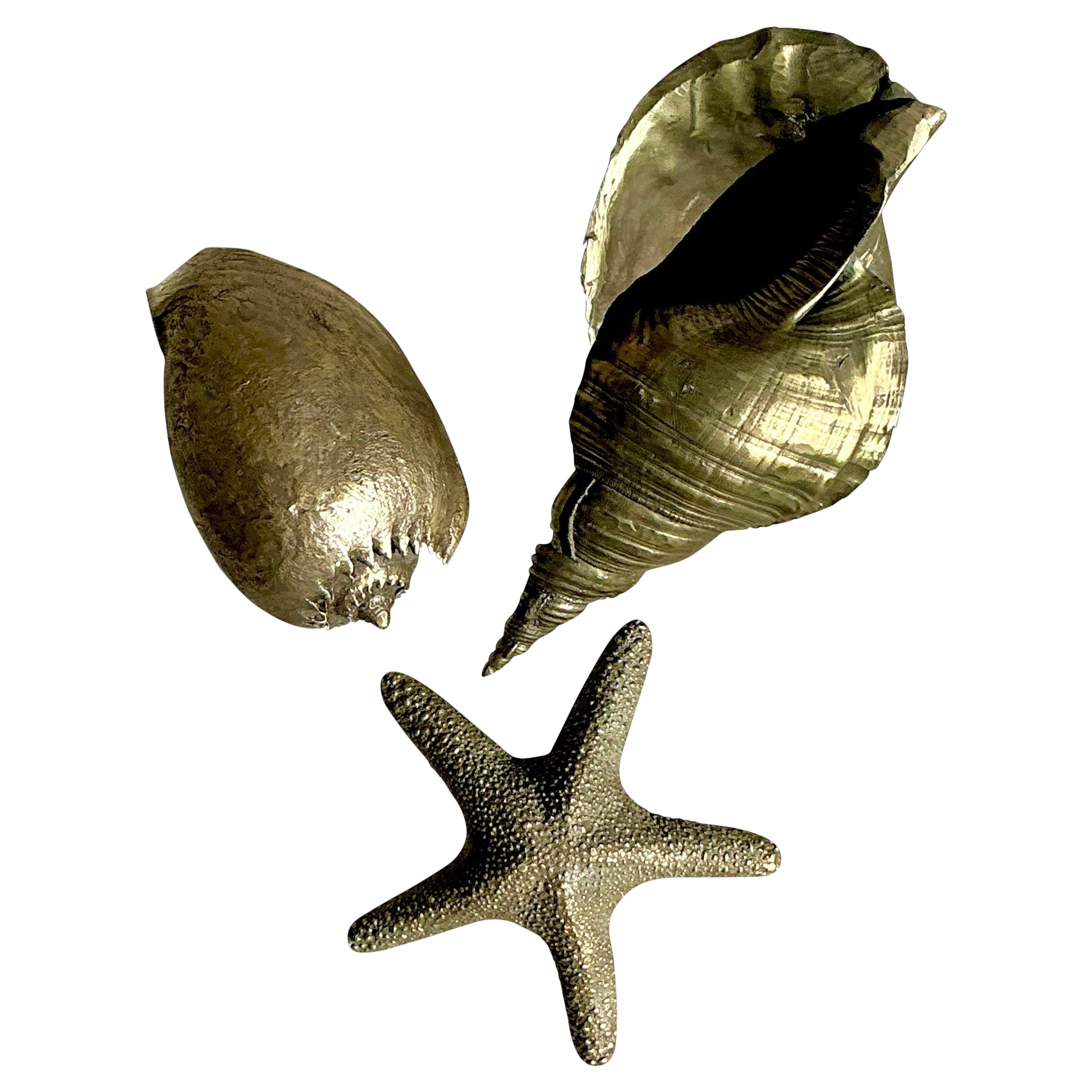 Vintage Coastal Burnished Brass Shells- Set of 3