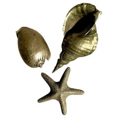 Vintage Coastal brüniertes Messing Muscheln - Satz von 3