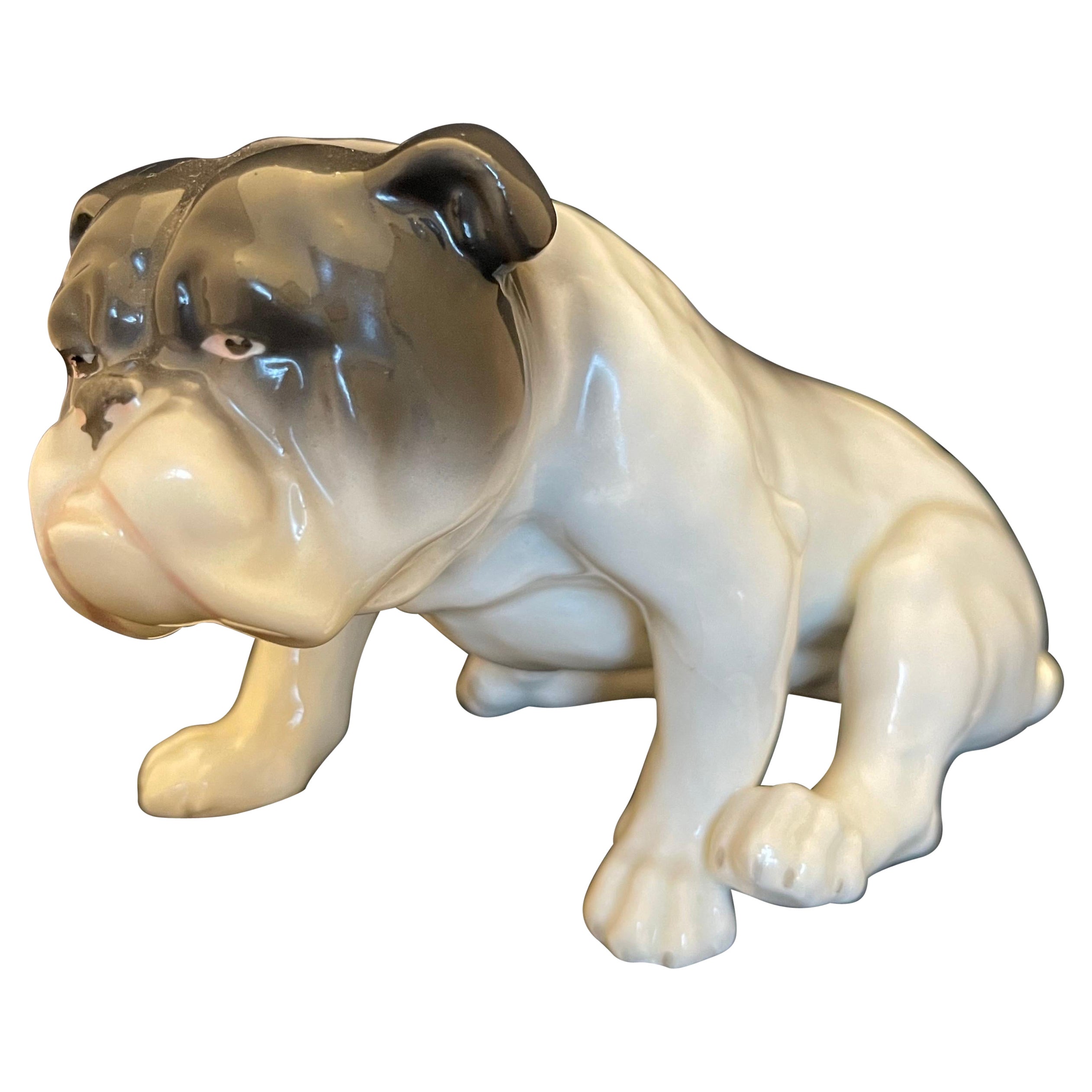 German Porcelain Figure of a Bulldog, Early 20th Century