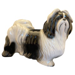 Figura de porcelana inglesa de un perro Shih Tzu, Siglo XX