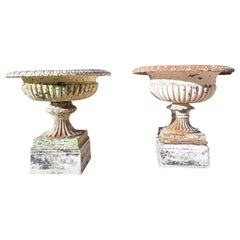 Antique 2 Cast Iron Garden Vases On Base, 19th Century