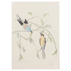 Moran, Indischer Roller aus Swallow-Tailed, Aquarell