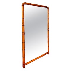 Large C19th French Faux Bamboo Mirror