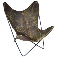 Jorge Hardoy Ferrari Butterfly Chair