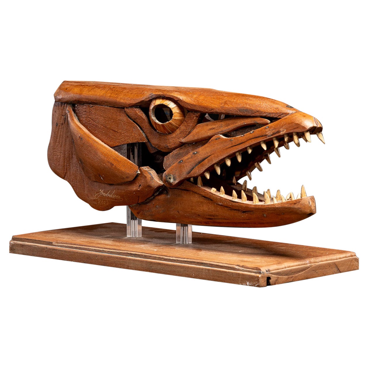 Una scultura in legno fatta a mano, studio di una testa di Barracuda con bocca aperta in vendita