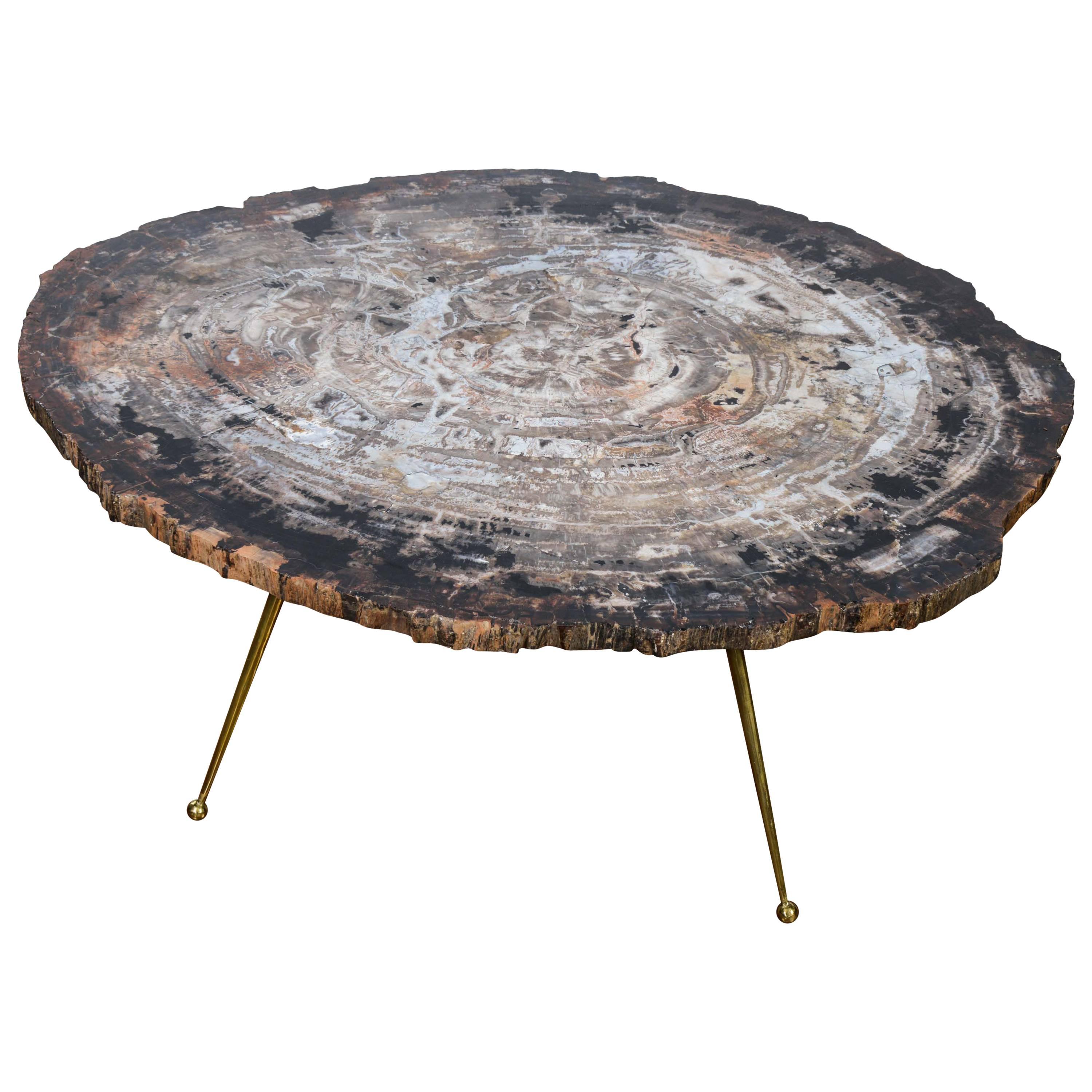 Free Shape Petrified Wood Coffee Table