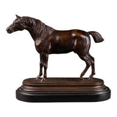 Jules Moigniez : Patinated bronze of an Arabian horse - C. 1880