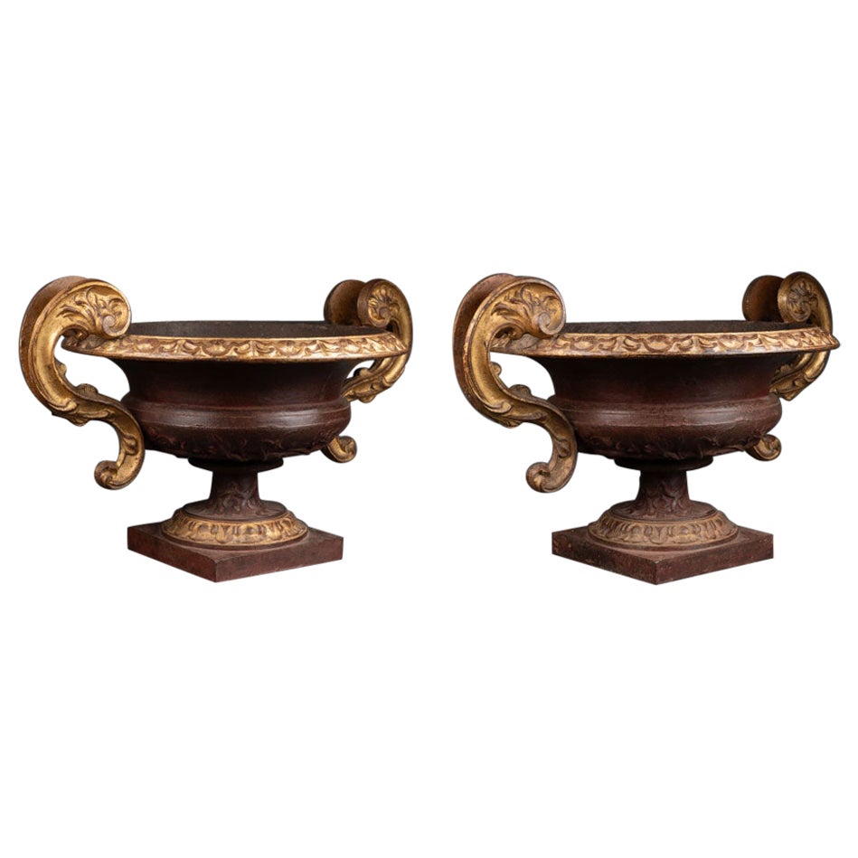 Large pair of gold leaf gilding and painted urns - End of XVIII/ XIX C. For Sale
