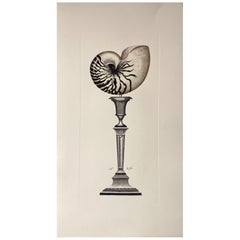 Italienische Contemporary Hand Painted Print Marina Kerzenständer "Muschel" 2 von 3