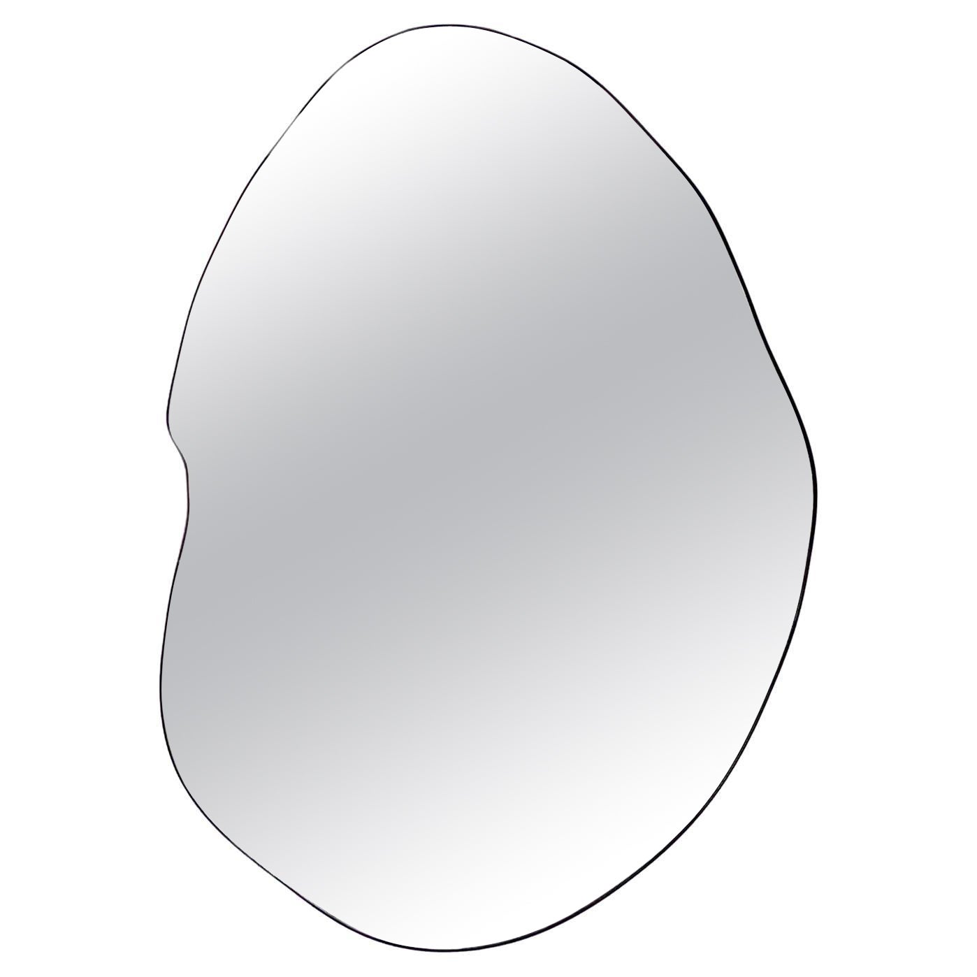 Freeform Organic Shaped Mirror with Minimalist Black Frame - A
