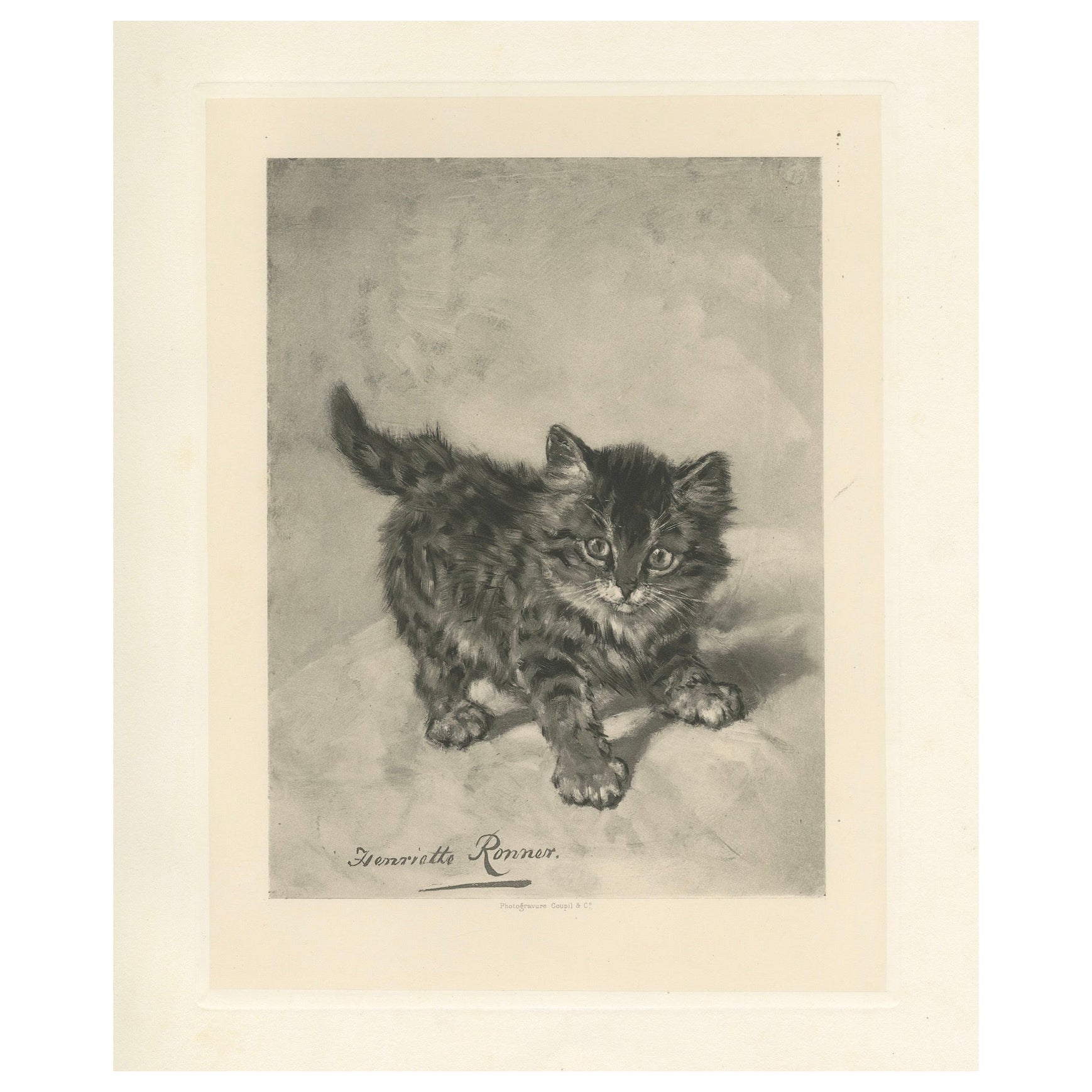 Rascal - Un juguetón gato antiguo grabado por Henriette Ronner, 1894 en venta