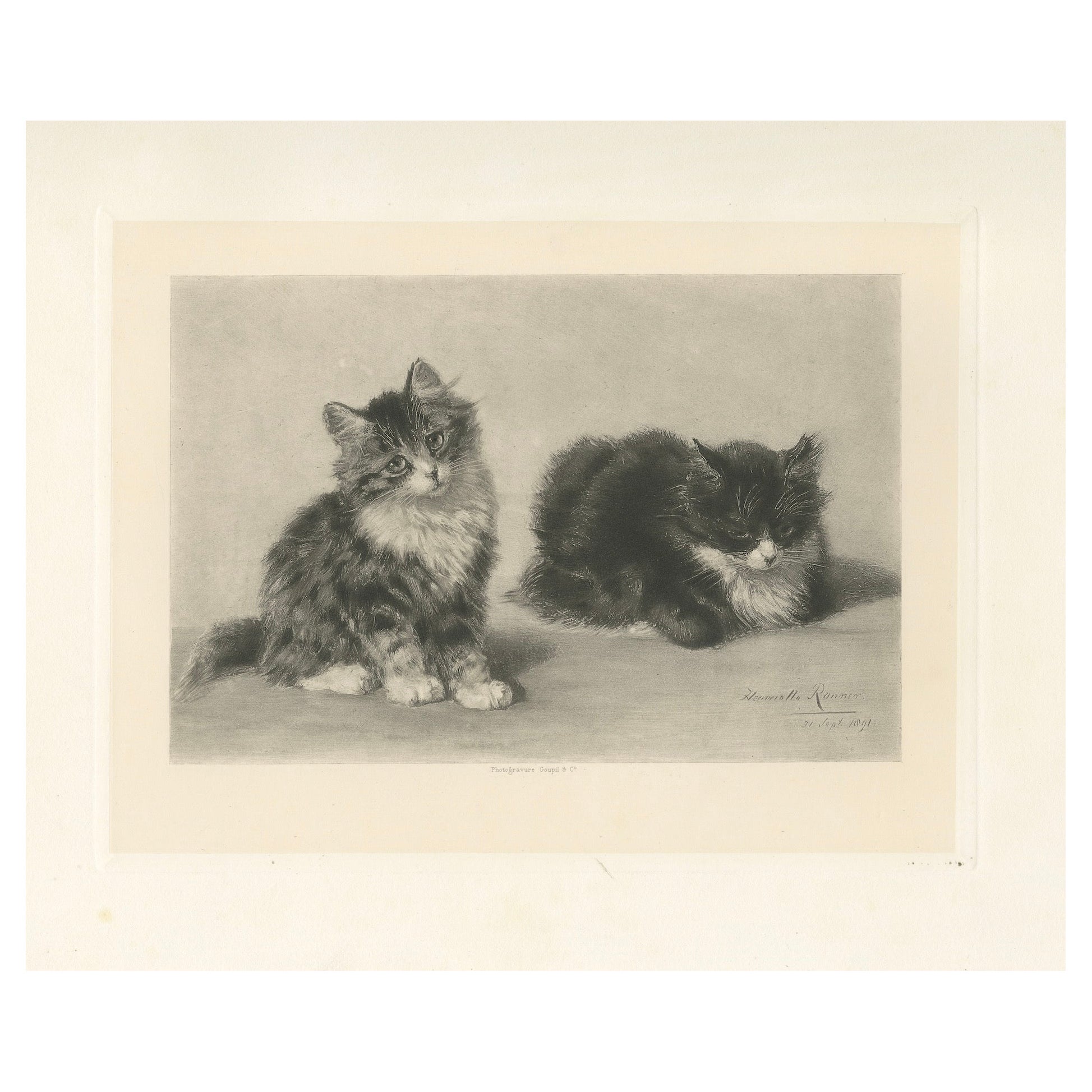 Encantadora pareja de gatitos - Grabado antiguo sobre gatos de Henriette Ronner, 1894