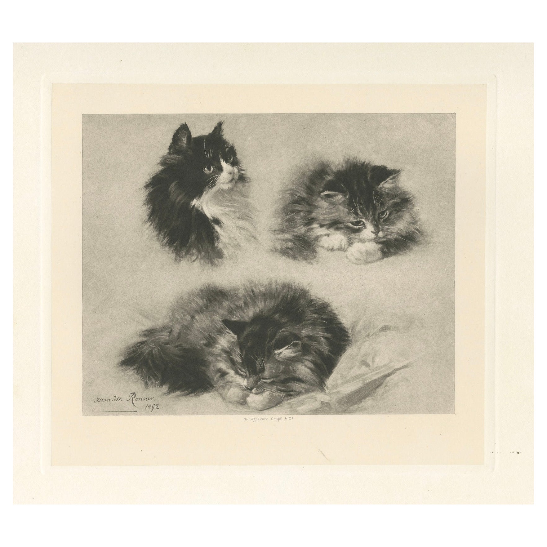 "Tres estudios de un gatito" - Gatos y gatitas de Henriette Ronner (1894) en venta