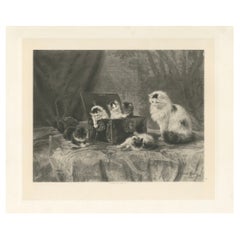 Antique "The Curious Explorers" - Cats and Kittens by Henriette Ronner (1894)