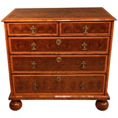 Small William & Mary Chest of Drawers with Olivewood Oyster and Holly Banding