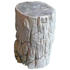 Petrified Wood Side Table, Natural Untouched Color