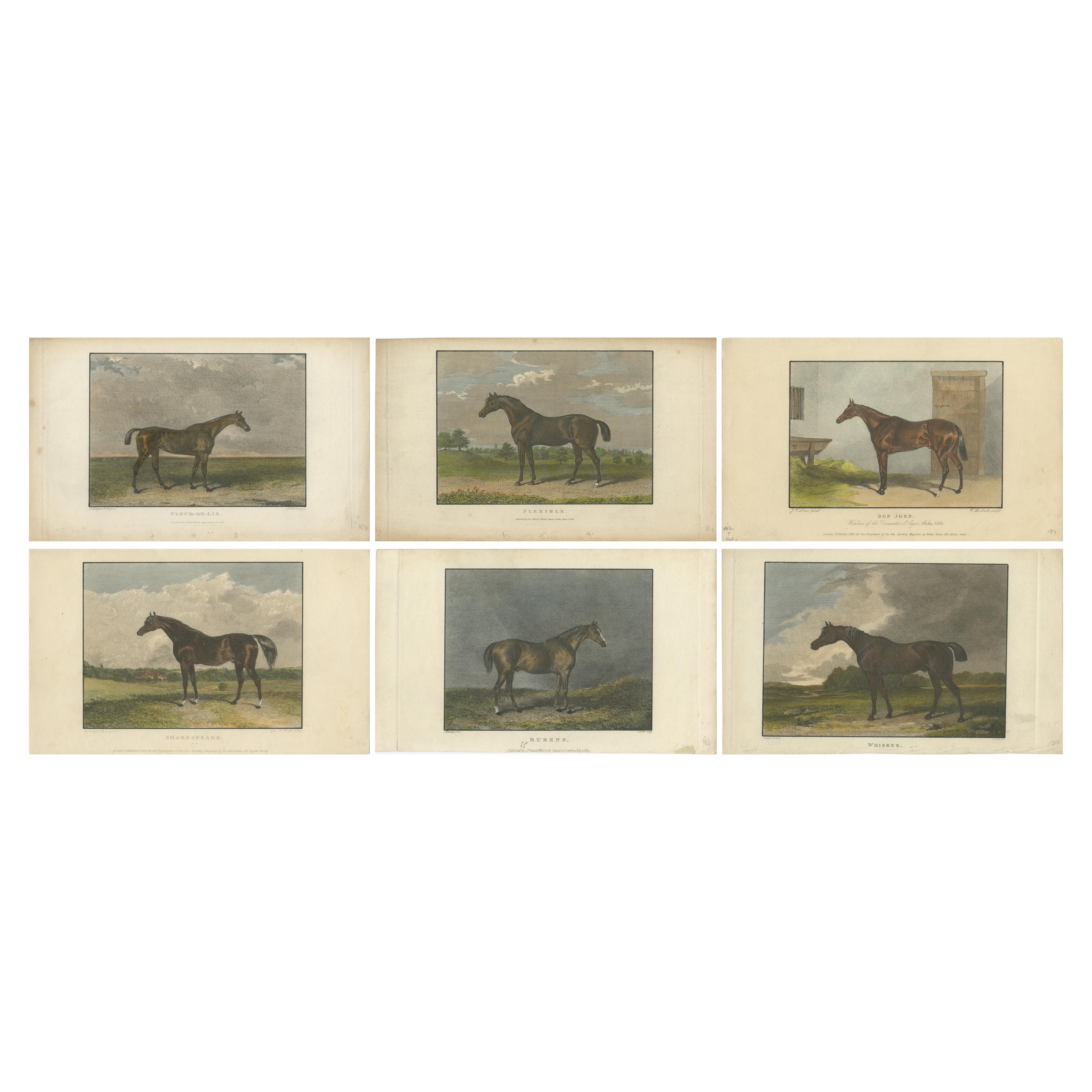 1830-1850 Grabados coloreados a mano de caballos de carreras Flor de Lis a Bigote