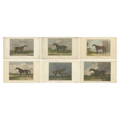 1830-1850 Grabados coloreados a mano de caballos de carreras Flor de Lis a Bigote