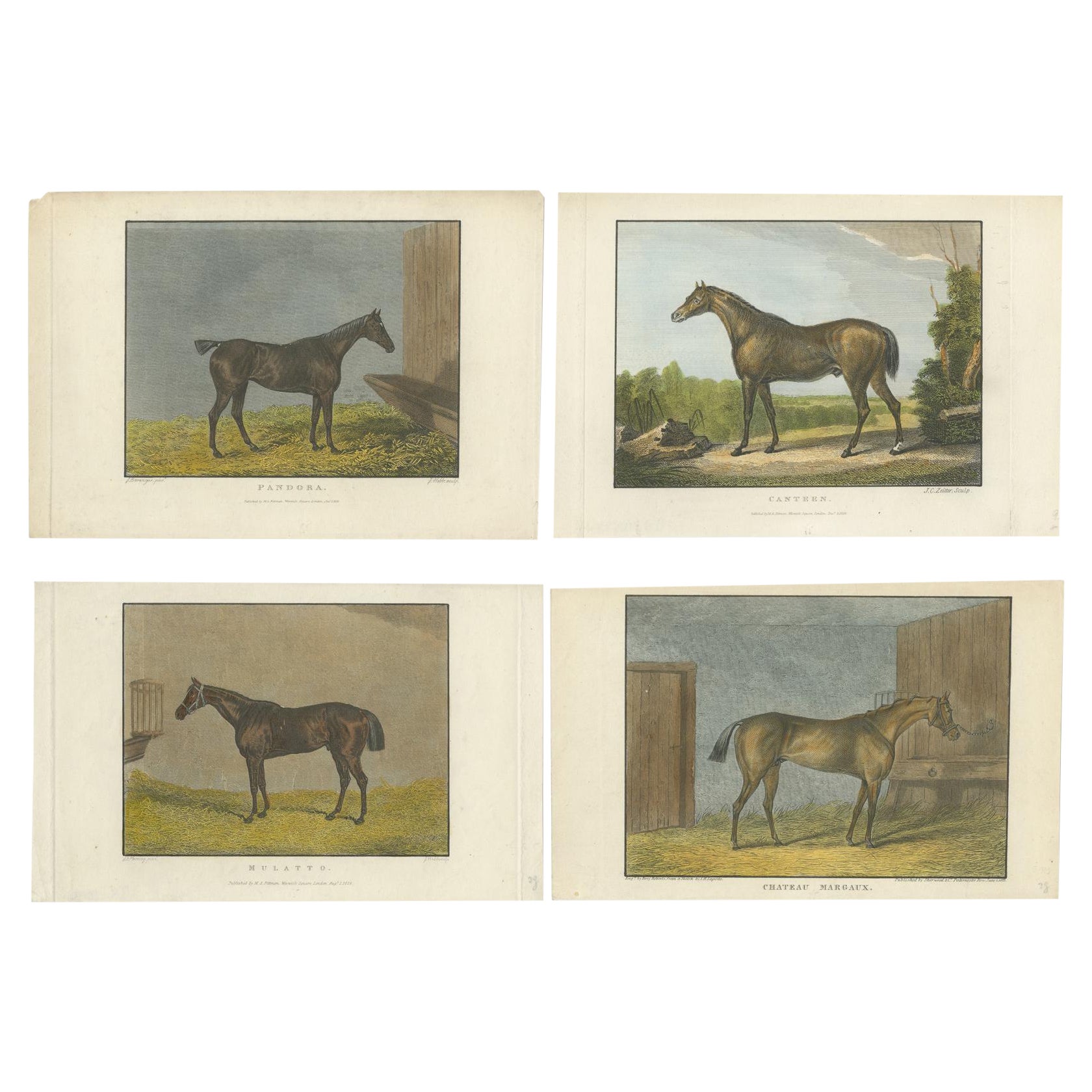 19th-Century Racehorse Portraits: Pandora, Canteen, Mulatto, and Chateau Margaux
