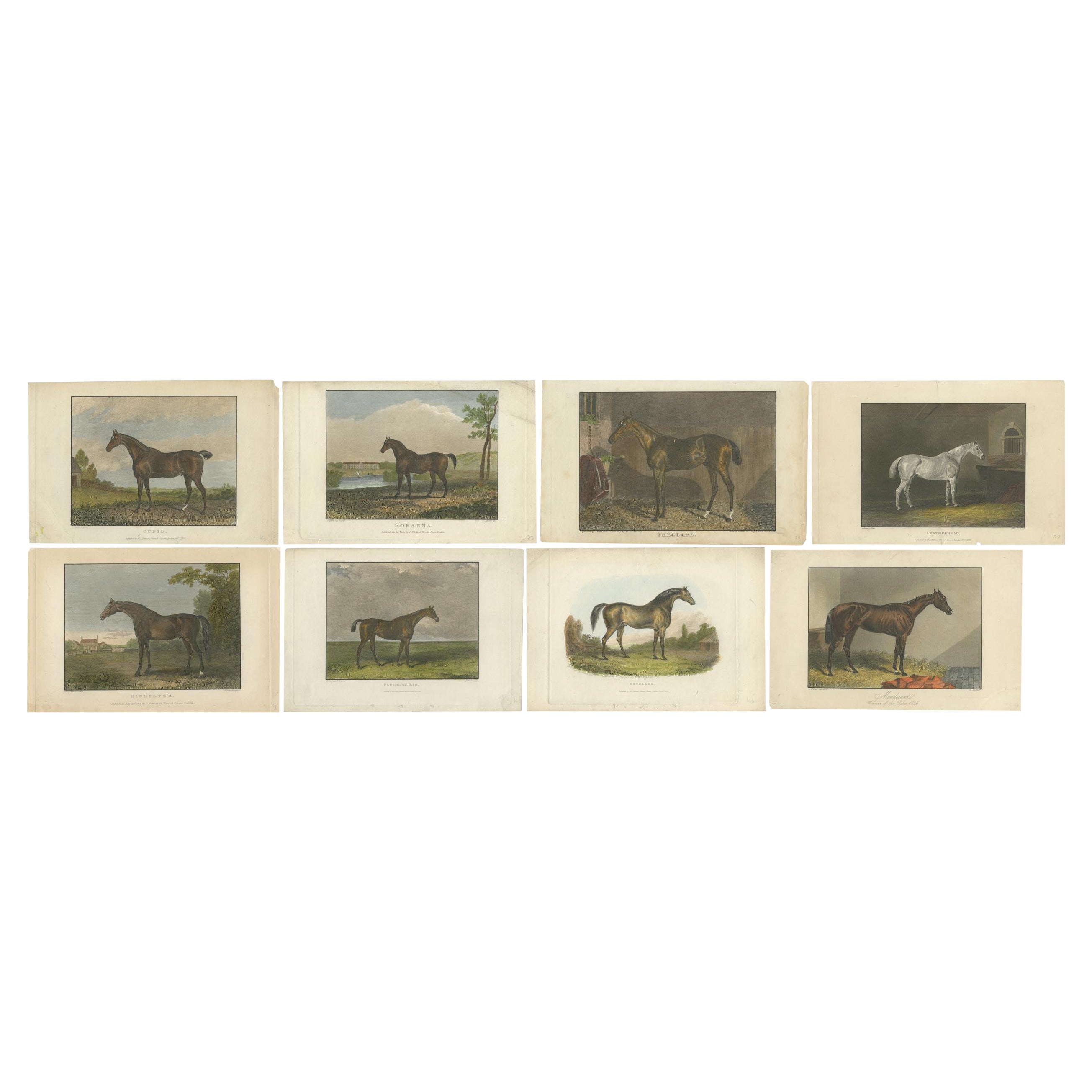 Collection of 19th-Century Hand-Colored Engravings of Famous Racehorses, c.1830