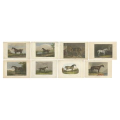 Collection of 19th-Century Hand-Colored Engravings of Famous Racehorses, c.1830