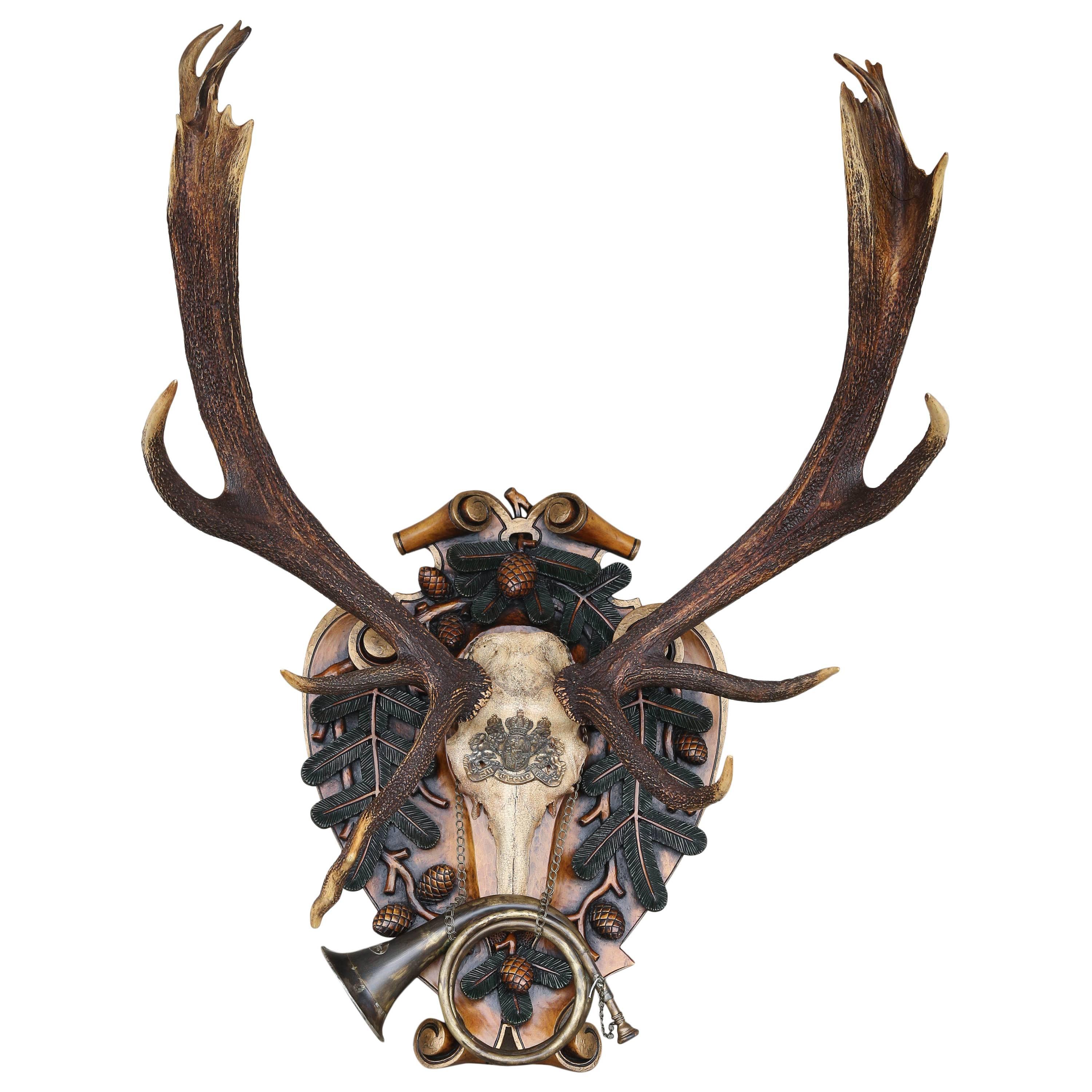 German Red Stag from Eulenburg Hunt of 1892 with Original Fürst-Pless Hunt Horn