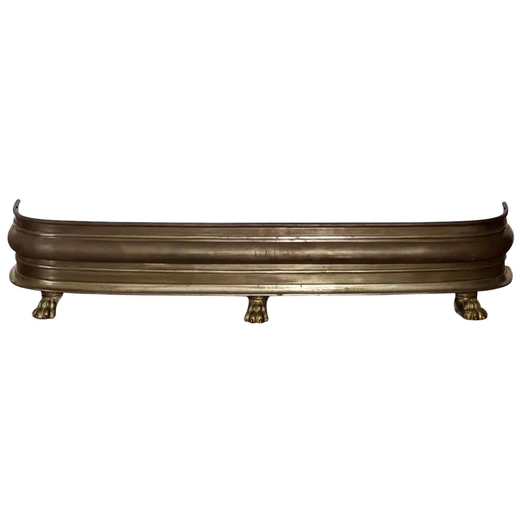 19th Century English Patinated Steel and Brass Fireplace Fender with Paw Feet