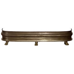 19th Century English Patinated Steel and Brass Fireplace Fender with Paw Feet