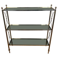 Neoclassical Style Silvered Metal Shelves Unit in the Style Of Maison Jansen