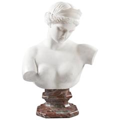 Fine 19th Century Grand Tour Carved Carrera Marble Bust of Venus