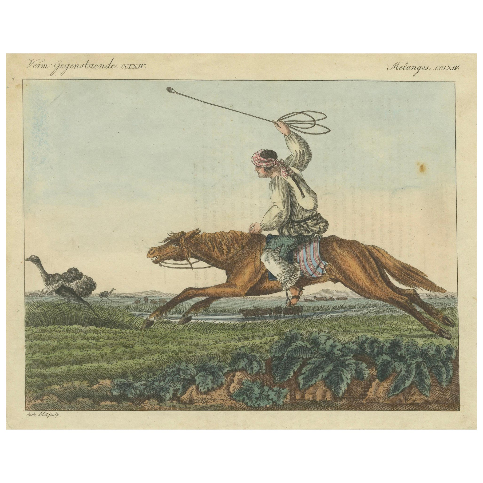 Incisione colorata a mano del 1823 - Gaucho a caccia di struzzi con bolas nella Pampa