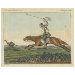 1823 Grabado coloreado a mano - Gaucho cazando avestruces con bolas en la Pampa