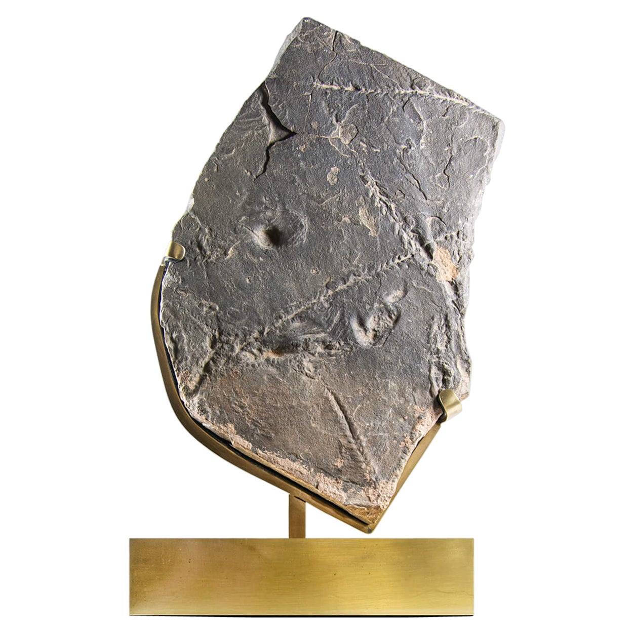 Raro soporte fósil de huellas de trilobites rematado en latón grabado