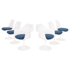 Ensemble de six fauteuils de salle à manger Tulip d'Eero Saarinen pour Knoll Tulip des années 1960