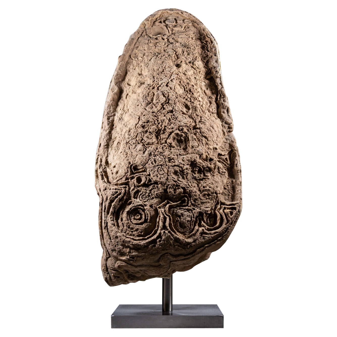 Huge Desert Crystal Rose Formation on Steel